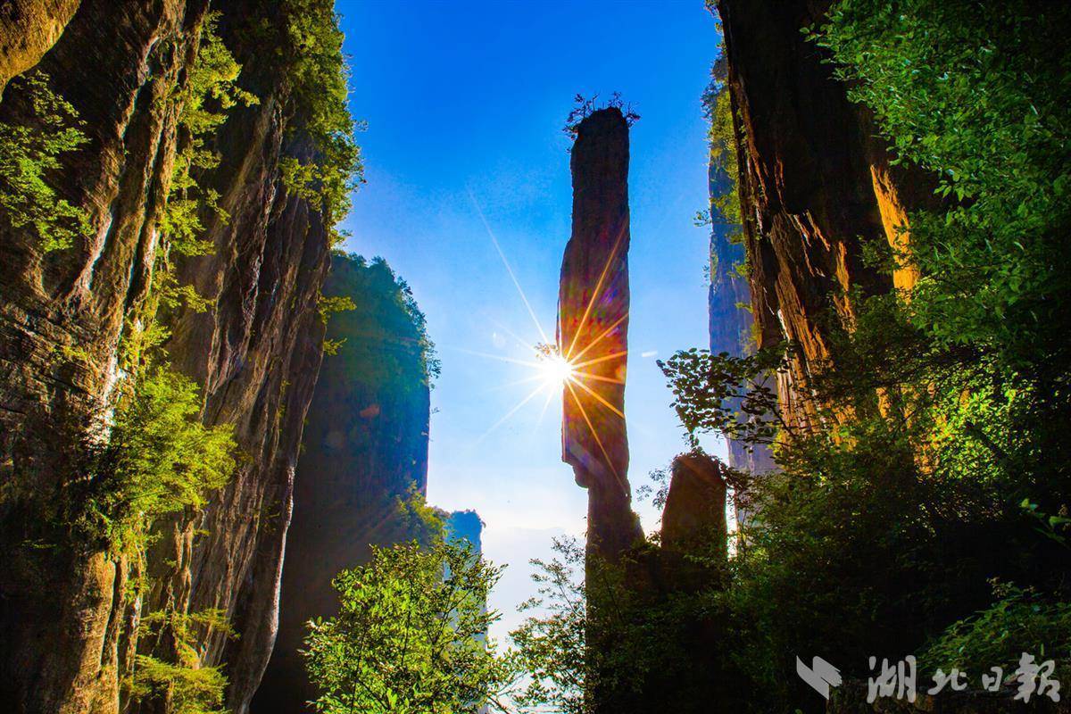 去澳门赌博都有哪些玩法